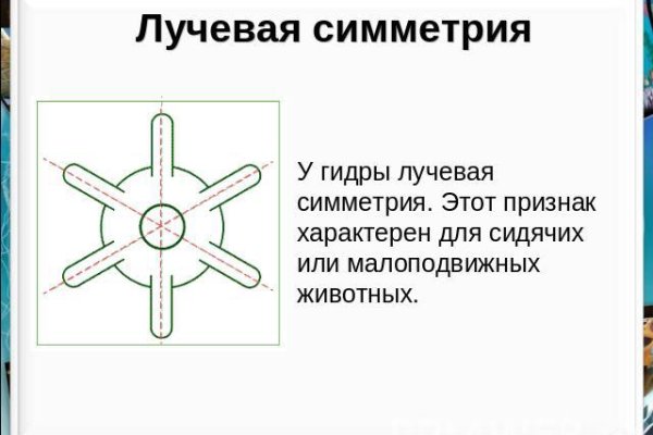 Kraken market ссылка тор
