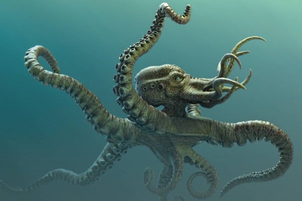 Kraken com darknet