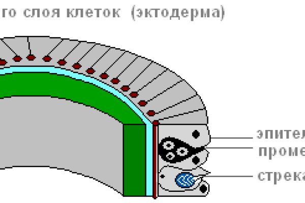Кракен сайт продаж