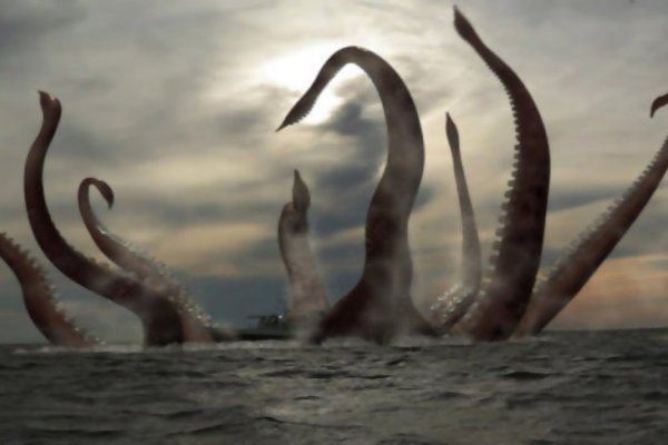 Kraken 21at
