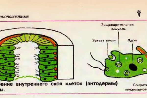 Кракен питер
