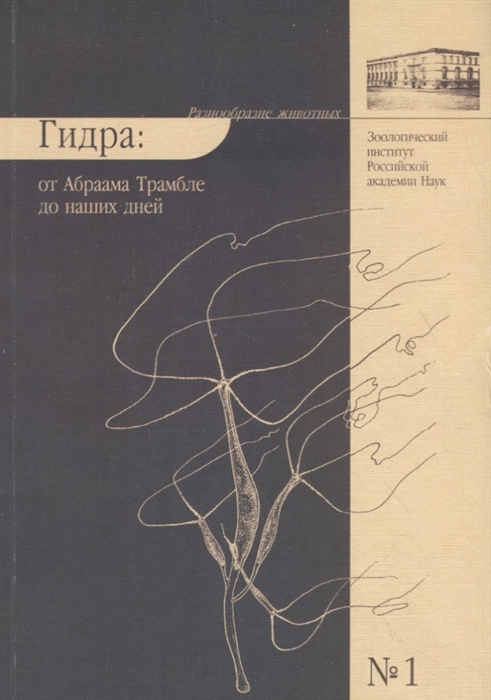 Через какой браузер зайти на кракен