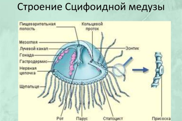 Кракен официальный